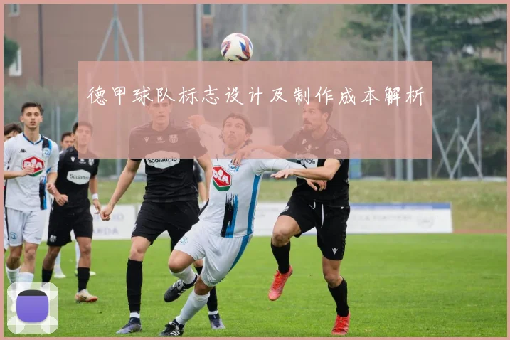 德甲球队标志设计及制作成本解析