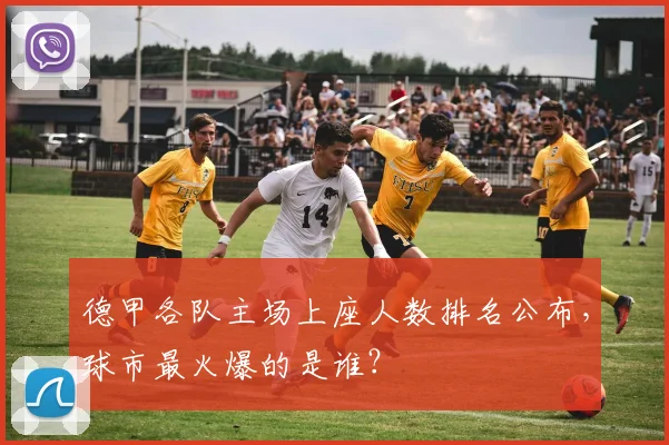 德甲各队主场上座人数排名公布，球市最火爆的是谁？